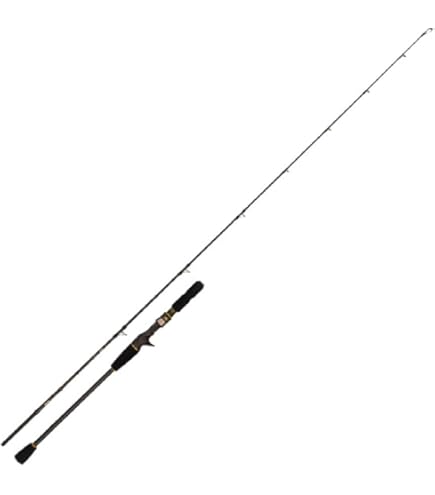 Amazon | Goture POLLUX Ⅱ Basic スロージギングロッド 釣り竿 ベイト